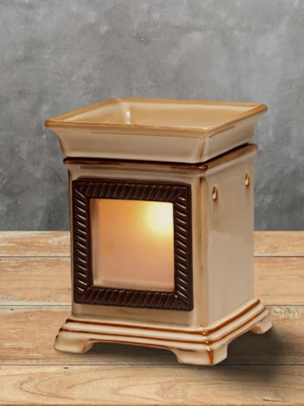 SCENTSY "Snapshot" Full-Size Warmer